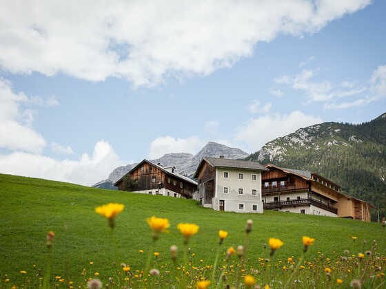 CAMP - Coole Tenne für 27 Personen Mesnerhof-C