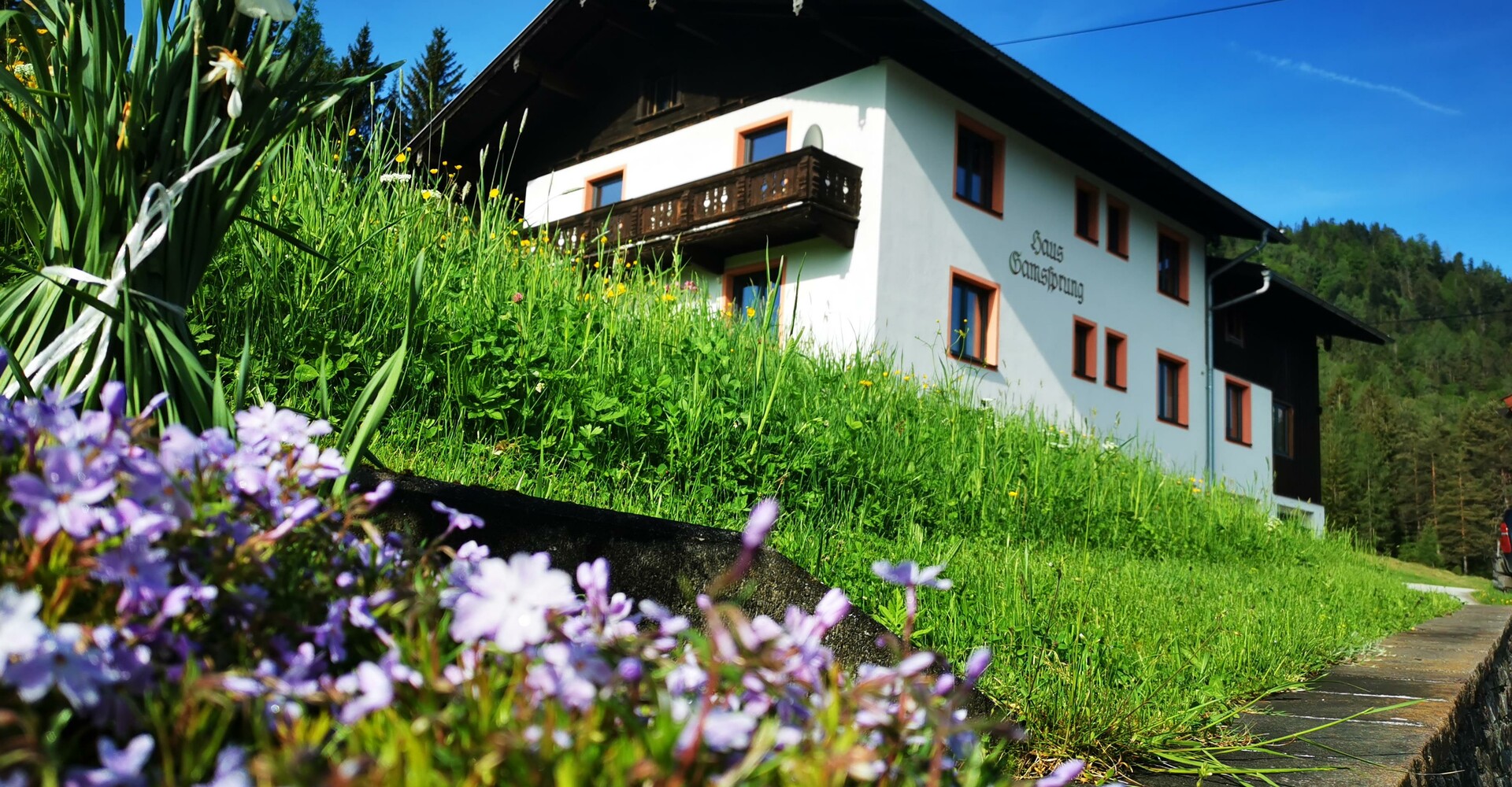 Haus-Gamssprung.jpg